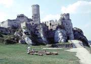 Zamek w Ogrodziecu